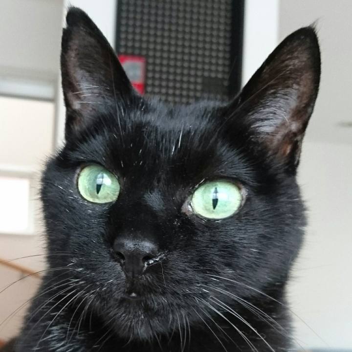 A340d8d0 cdd8 44c9 a0f1 a2a113cafc33