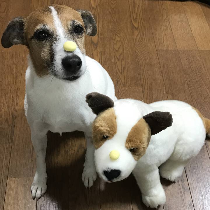 A3417ad1 a349 417b b5c2 e05d9b013899