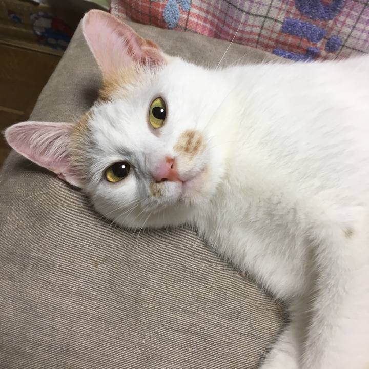 A341c5d5 c124 4fb4 95b3 200267e7e71d