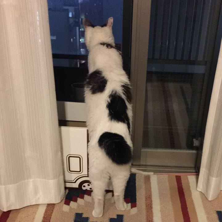 A341d9e7 0344 47ad a3be 9fee23927a3f