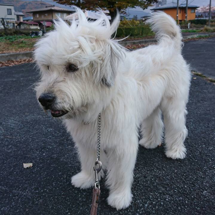 A3434f6c 6f2e 4413 9e8d dca56e3b0421