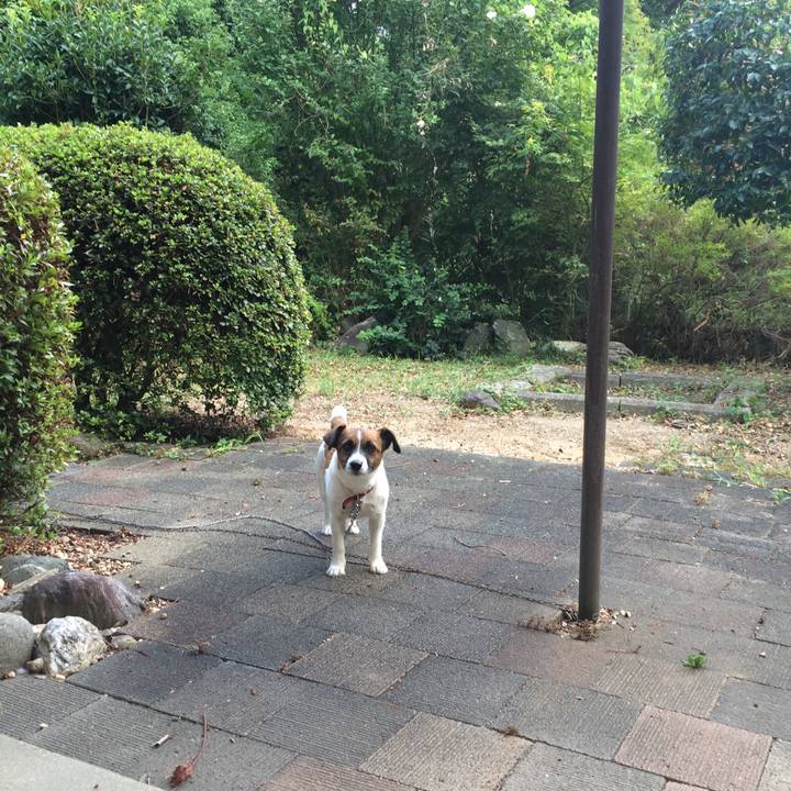 A344101b 068e 47e5 afae 89f01cf50d8b