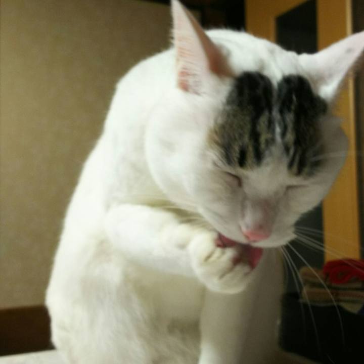 A34415b3 6a8d 4bb5 8c59 cd349127a8c3