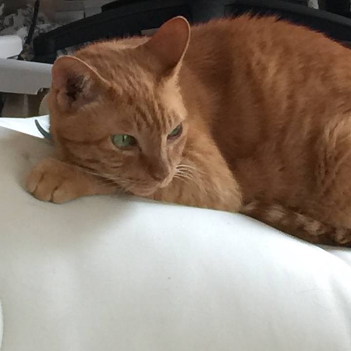 A34467d7 2792 49d1 a39d 4a0484c9eb4d