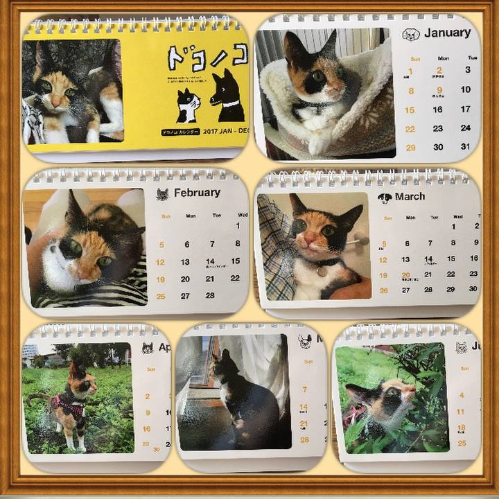 A3448cb2 b4ba 40fc 867e c96df9cbea92