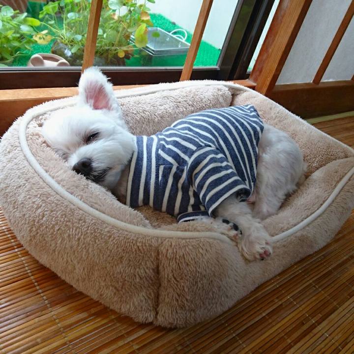 A344acb3 291b 498a 86ca 12f01eae351d