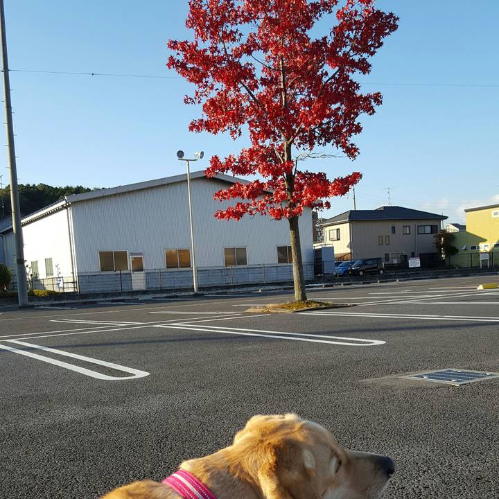 A344c6fb e1cc 4d3b 8b9f b3287293144f