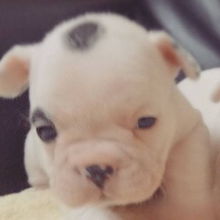 A344fb9e e66f 4098 bd7e 72dfe8d69129