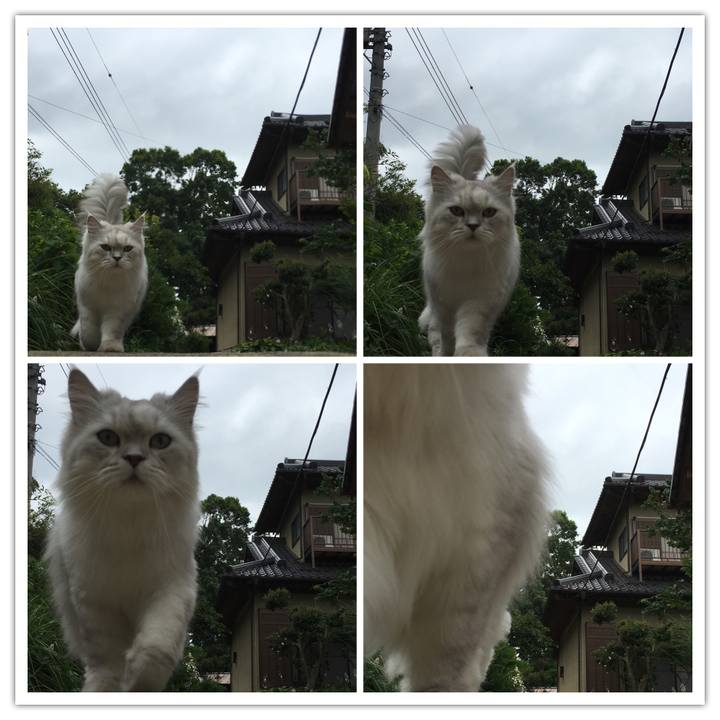 A3463fbc 1c9f 4217 9fc8 6be241371717