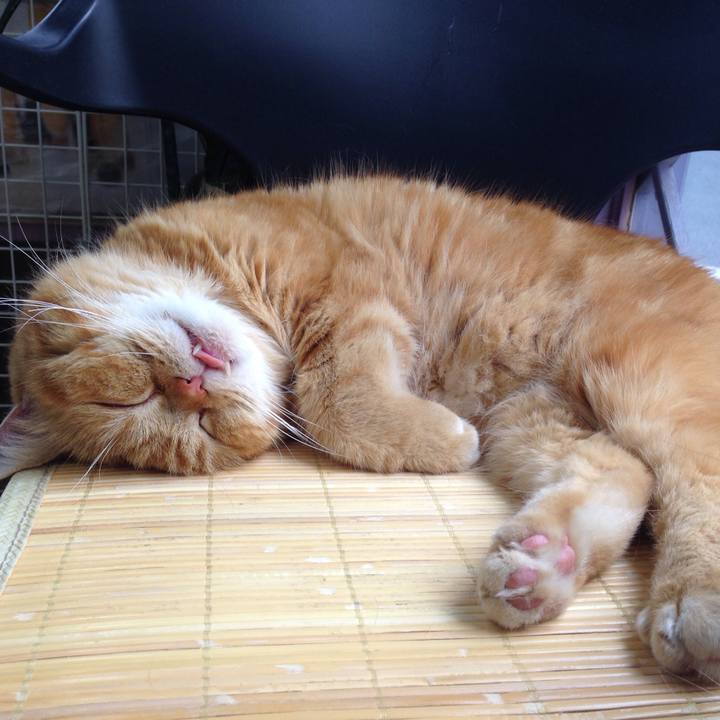 A3464469 071f 4a8d aa9d f744498c3f34