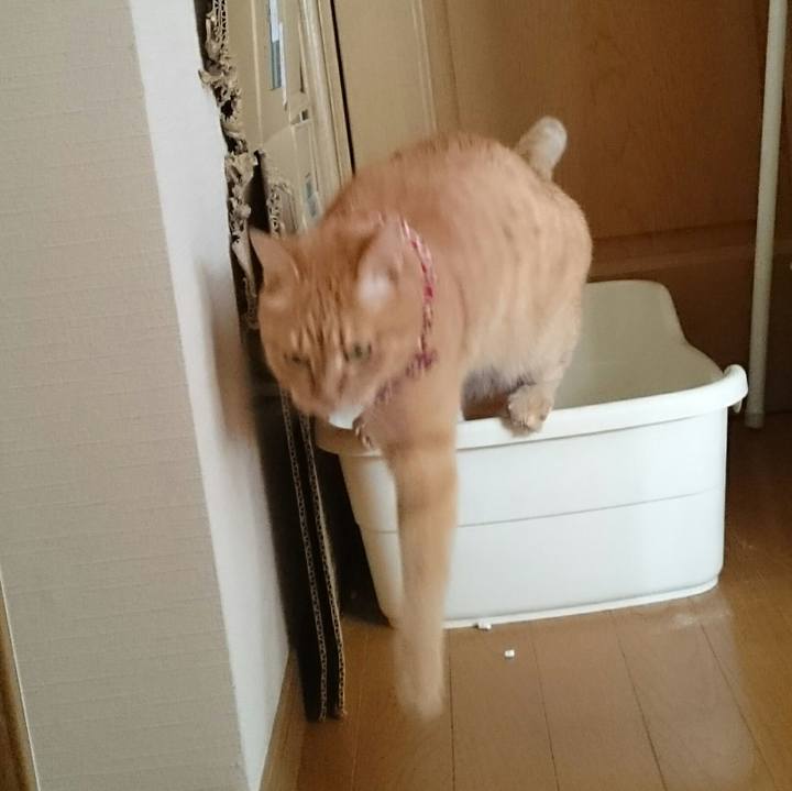 A3468eb5 3e50 45bf a433 a9a28617c323