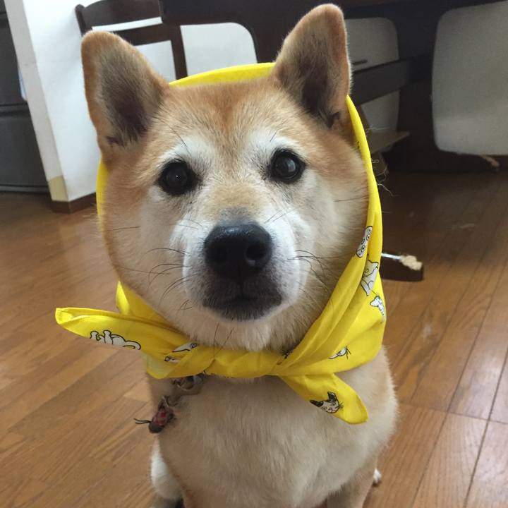 A34757b2 54f3 4f81 b0f3 e90c57516224