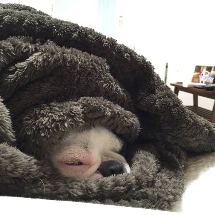 A347c75f 5765 4bd8 be9d 935f63215a8e