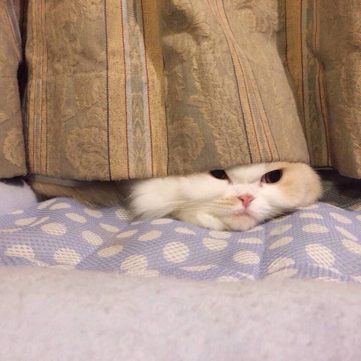 A347d301 d7ed 4413 836b 2fb061cddb4f