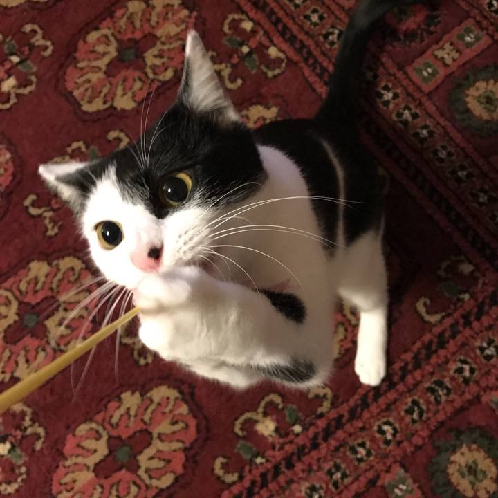 A34804bd afda 46b9 8682 dacf094596c1