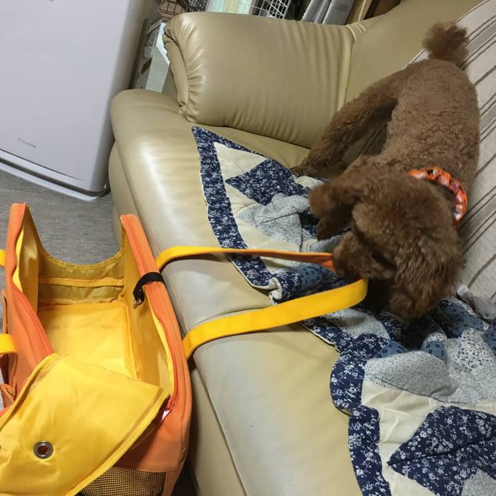 A3482b26 1cf8 4be4 9502 3f9eca2b3099