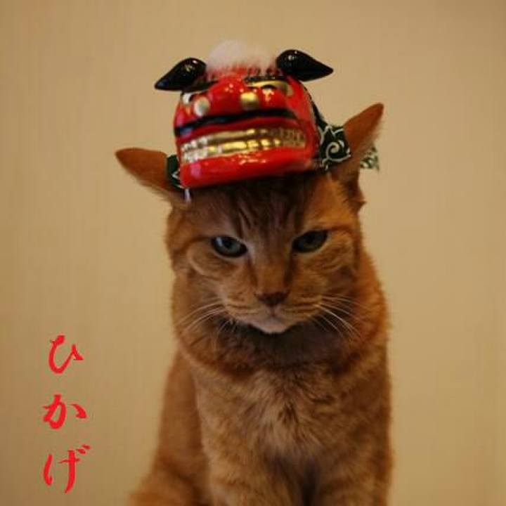 A34832dc 85a7 4fe1 9ba8 ddae6d30f8ea