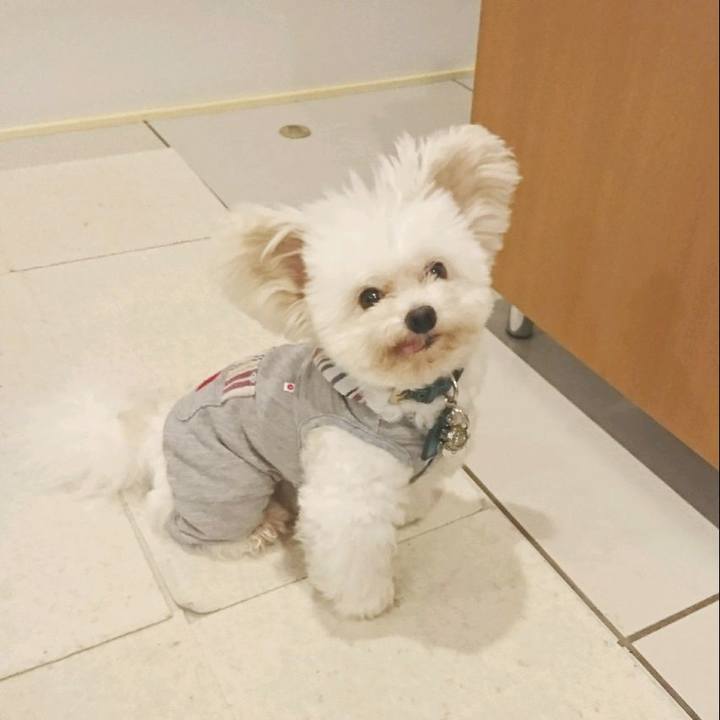 A3483478 8aee 41cc a8d7 33deafd49875