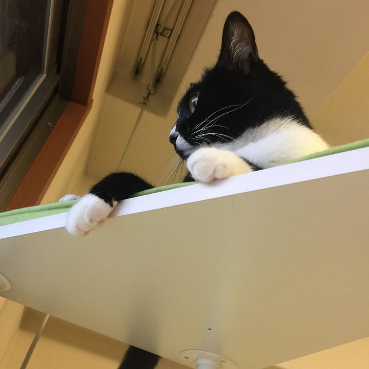 A3485558 47c2 4616 a679 1d051b3b2335