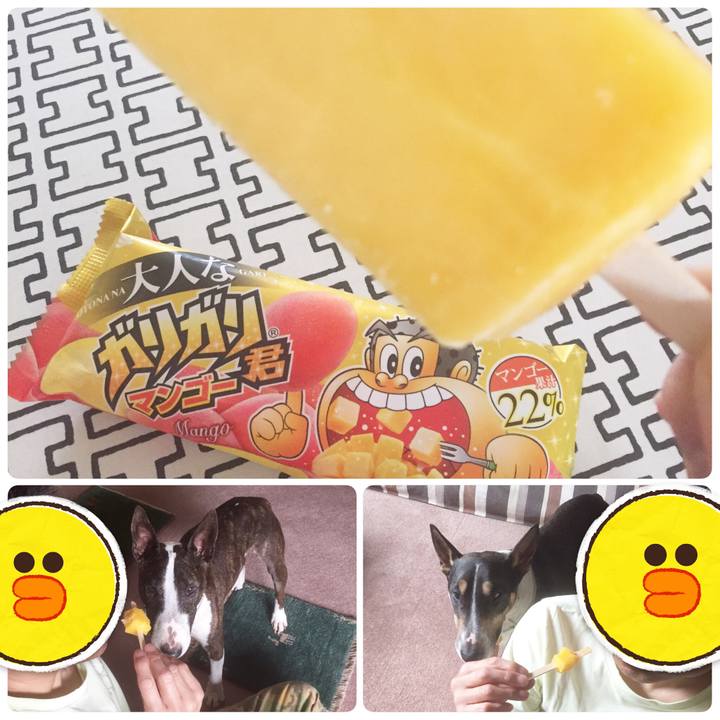 A348b694 6168 43ae b932 d695fd446170