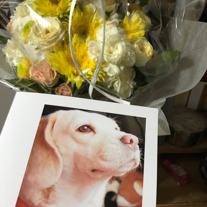 A34931df 76e9 4bea b0c8 8bcebdf4ddc1