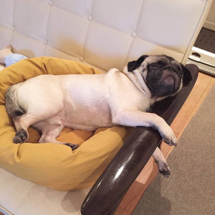 A3493811 44db 4fee ad6e 1ade4dad0430