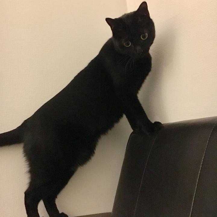 A3494695 1c9d 40e0 9a99 f61fa61b8750