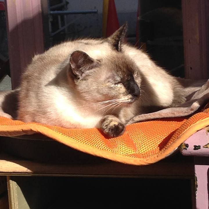 A349a2f4 4da9 40ea ab6f d1f8d1309d31