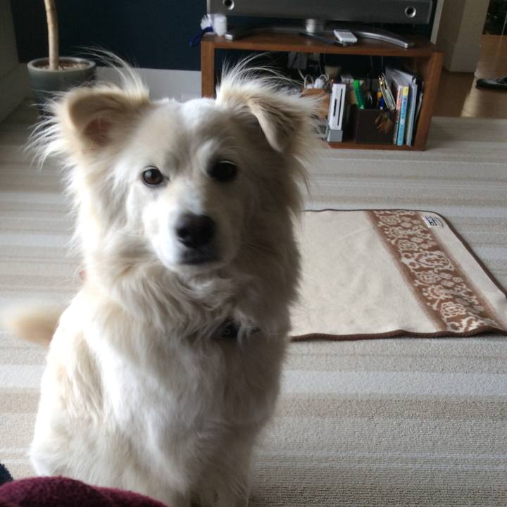 A34a3185 256e 4c6d a4ec b703e4e34419