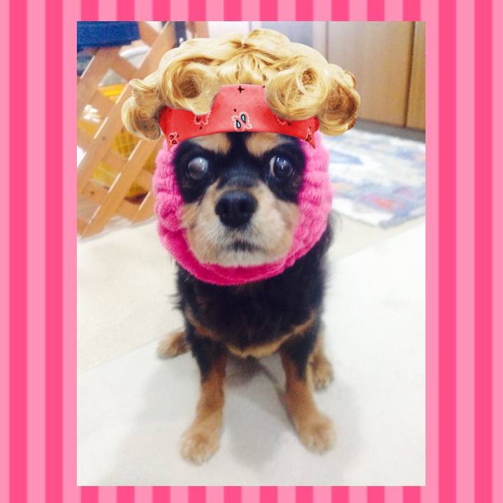 A34a73d7 dffd 493f a297 dd48660e0dd4