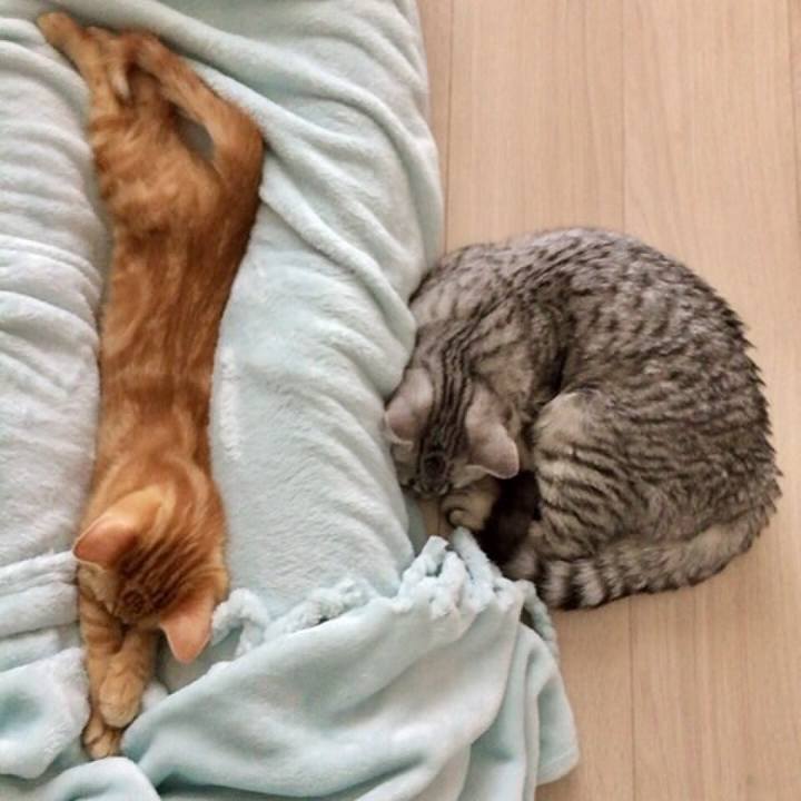 A34b14f9 2652 4c9a ba16 177030a78c40