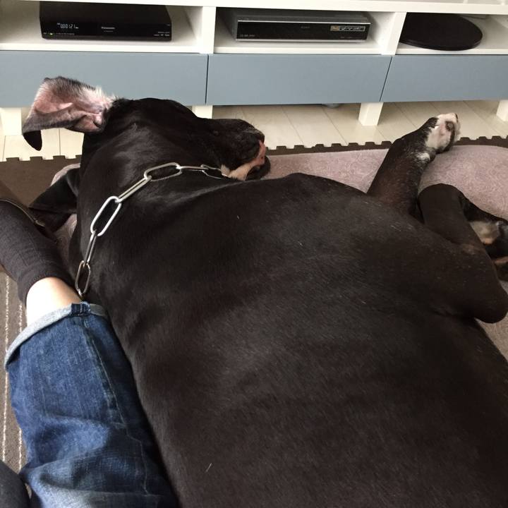 A34b34cd aed2 4a05 851c f2dfcd798398