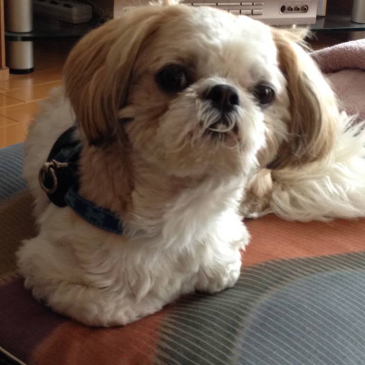 A34b553a afc7 43c4 a7d5 267e76c4799f