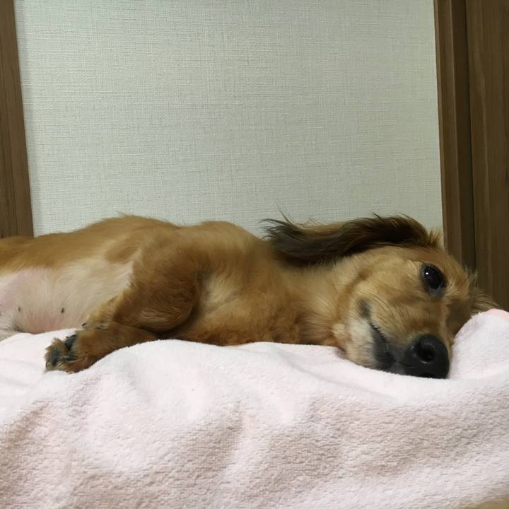 A34bad5e 197e 4164 93f0 ac5b7ed48ba7