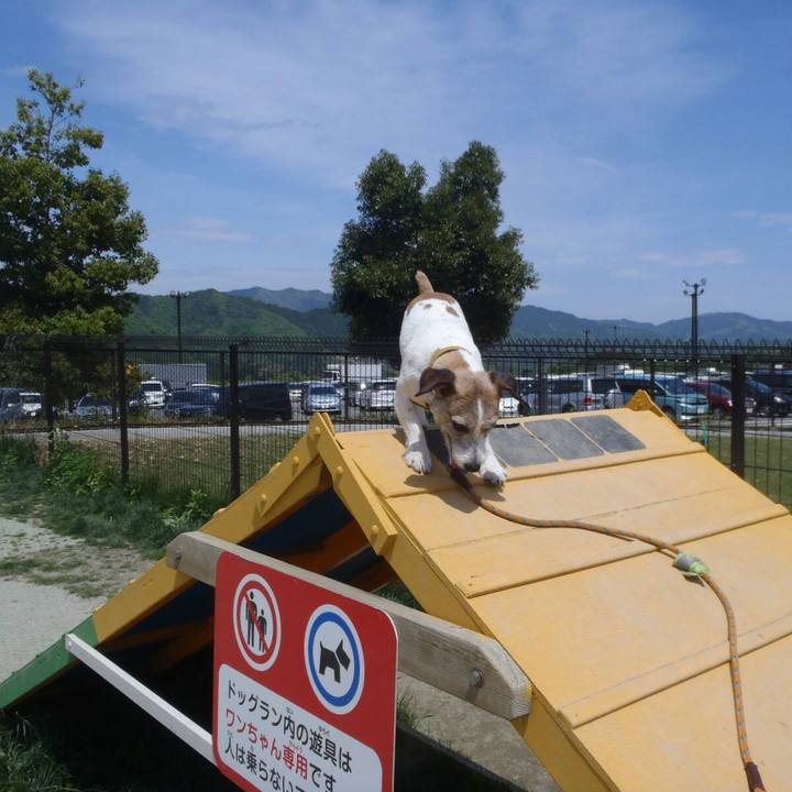 A34c0d39 0658 4795 bc93 1480fbf6c9ce