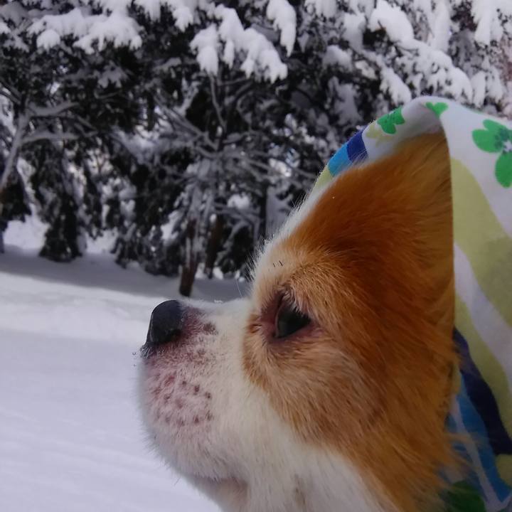 A34c6ace 0145 4e26 8b20 1a411652fc0b