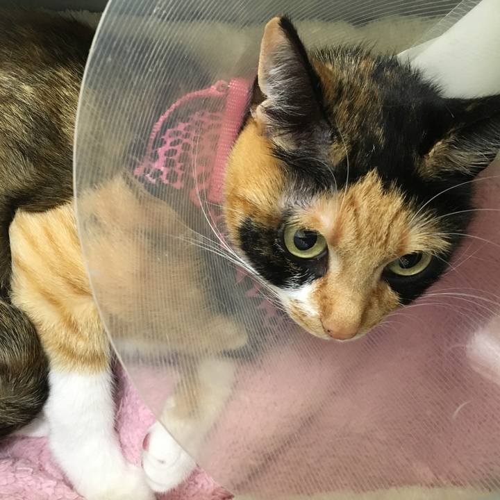 A34d122d e65f 4430 a8ad 2f77821dcdb0