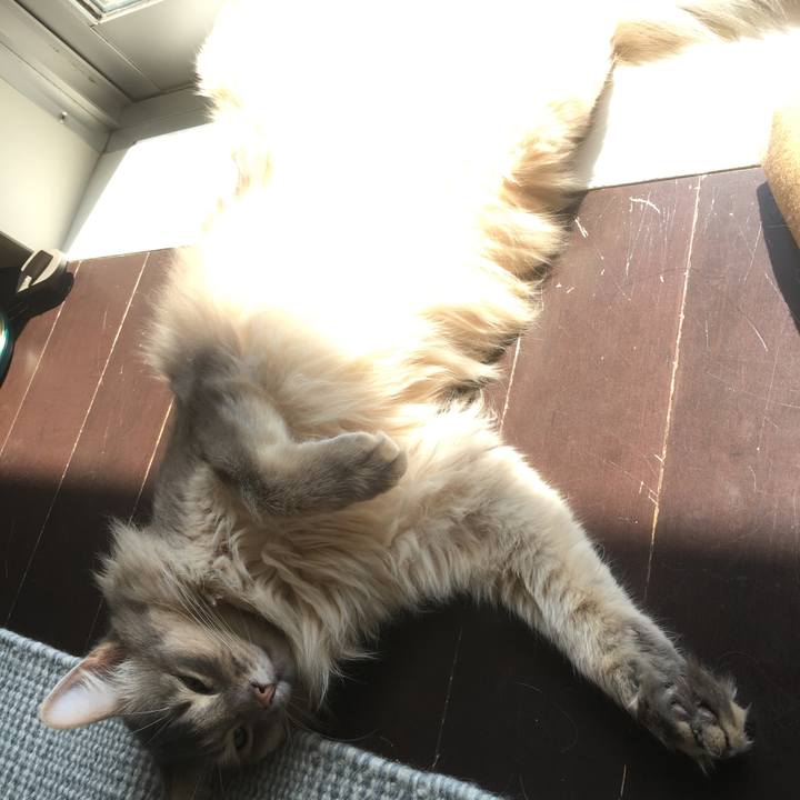 A34d92ea e4e5 435e 9cd9 38d1c75514b6