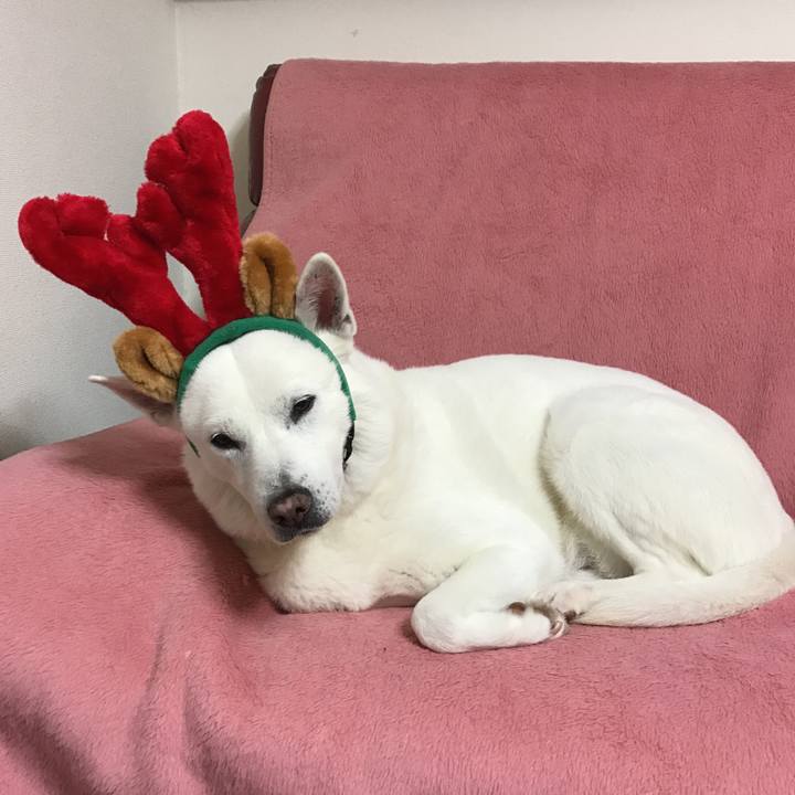 A34dc0b9 3b83 4b5e b3f1 fef59a18d082