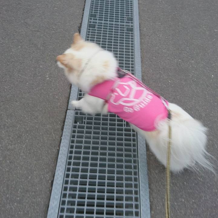 A34dfdbe 3e32 4358 bad9 d73650a5ccb5