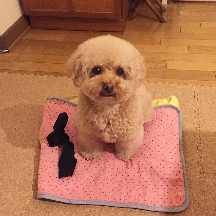 A34ec5dd 7c0f 4f99 a619 b84376c7355b