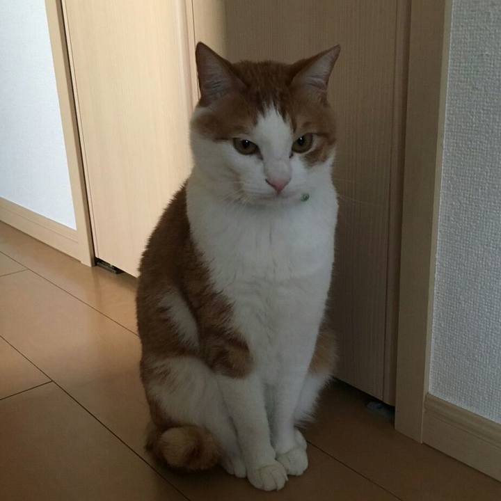 A34f18ba d44e 4e27 9314 4416dc7a3c76