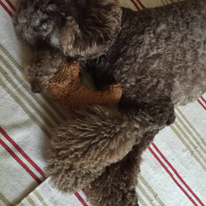 A34fcff6 a1e1 4aa5 b568 e52fa737a464