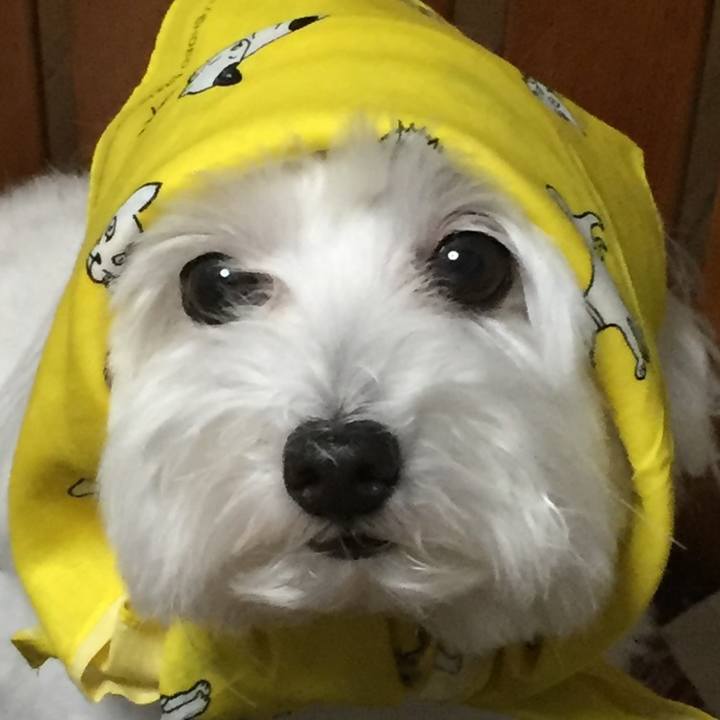 A34ffe3d b269 41a5 b371 8726c2219751