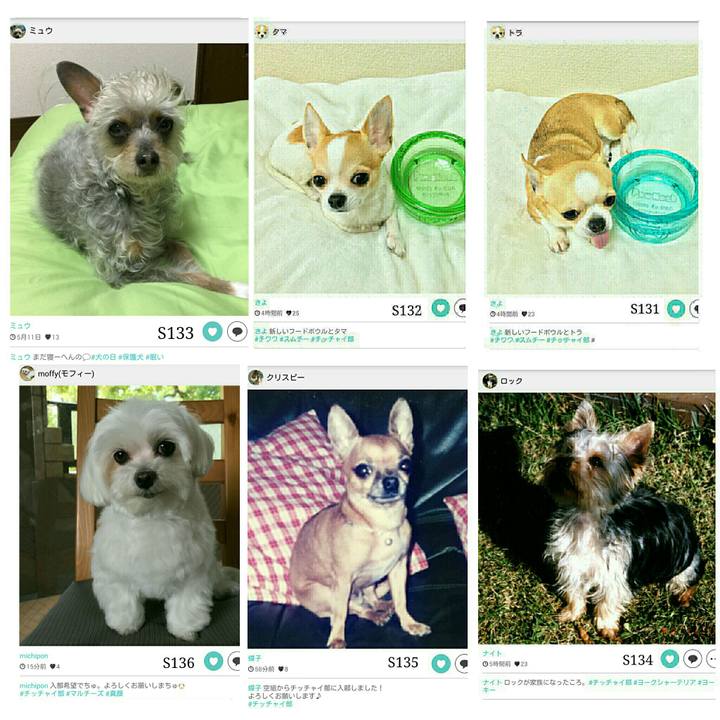 A3509ce5 0cf5 4878 8a60 b60ab9844c6a