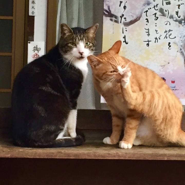 A350fb1b c3dd 469a 86b1 a8c69909abdd