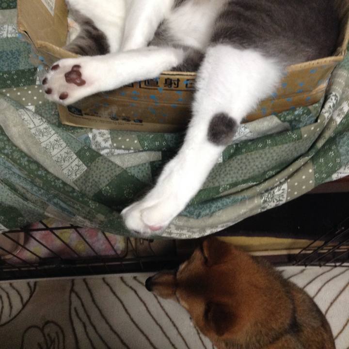 A3510f35 7366 4fac 9fe9 26ae345ede27