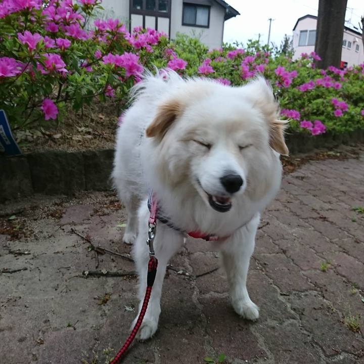 A35191af 3fa5 467f 9368 ec562935458e