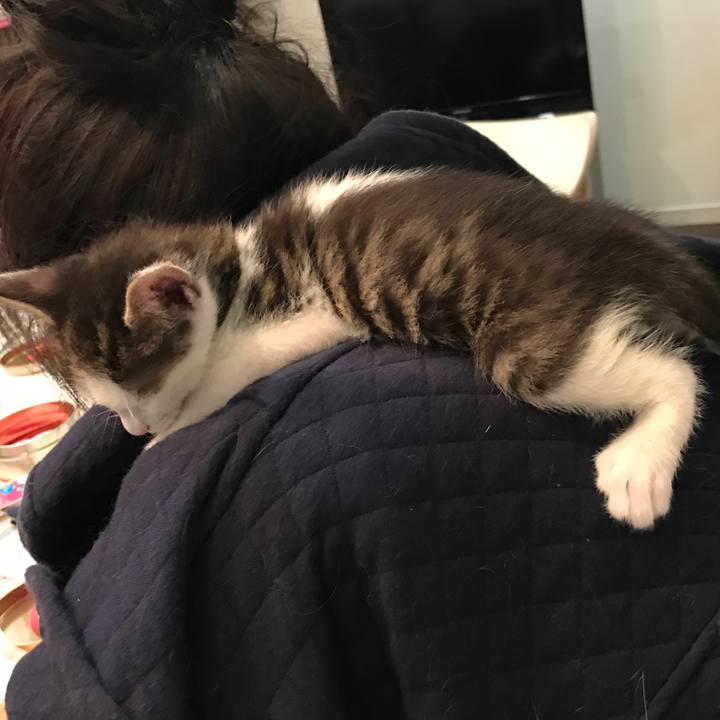 A3520556 fc68 441a b061 f853667e54ac