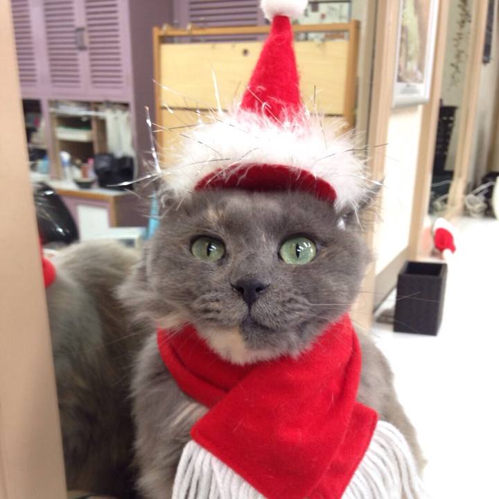 A35235b6 ea0c 4e57 92b8 a6e4b73b741e